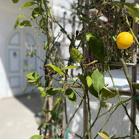 Marecoco Forio di Ischia