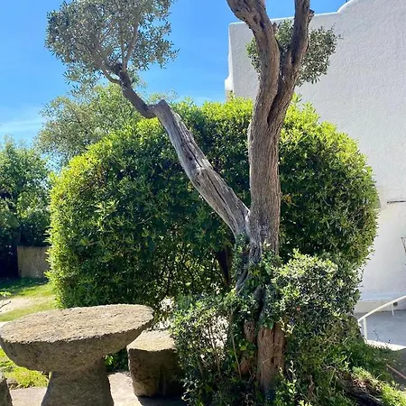 Marecoco Con Piscina Privata Villa