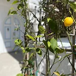 Marecoco Forio di Ischia