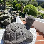 Marecoco
