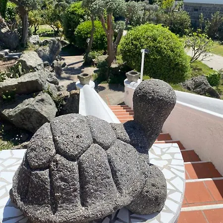 Marecoco